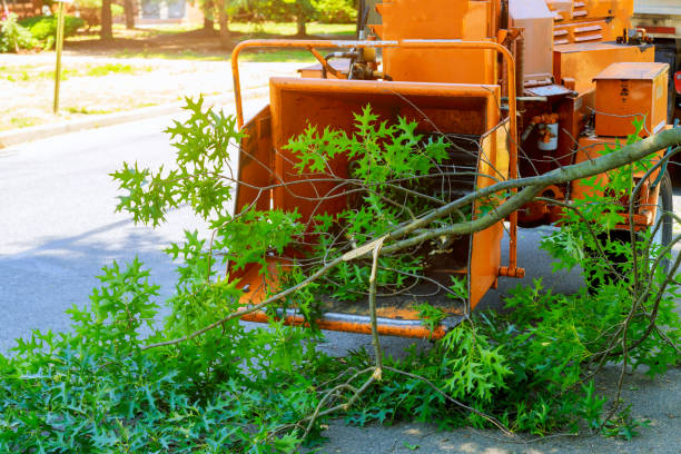 How Our Tree Care Process Works  in  Munising, MI